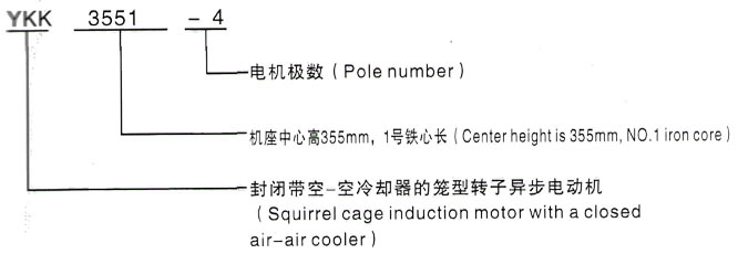 YKK系列(H355-1000)高压Y6304-8/1600KW三相异步电机西安泰富西玛电机型号说明