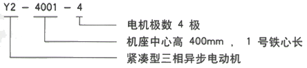 YR系列(H355-1000)高压Y6304-8/1600KW三相异步电机西安西玛电机型号说明